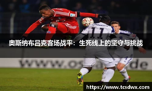 im电竞官网入口