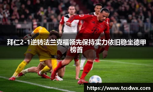 im电竞官网入口