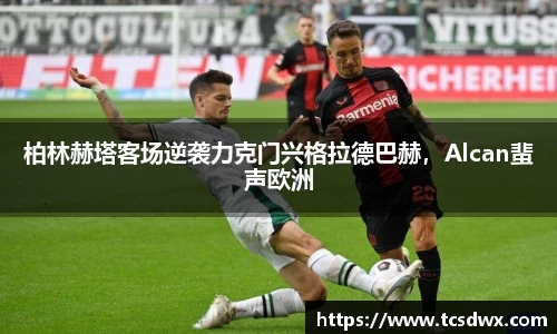 im电竞官网入口