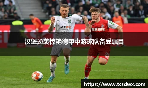 im电竞官网入口