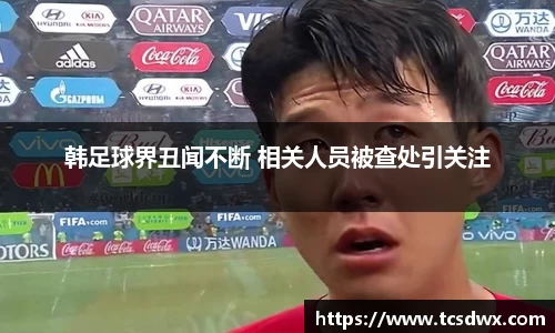 im电竞手机网页版登录