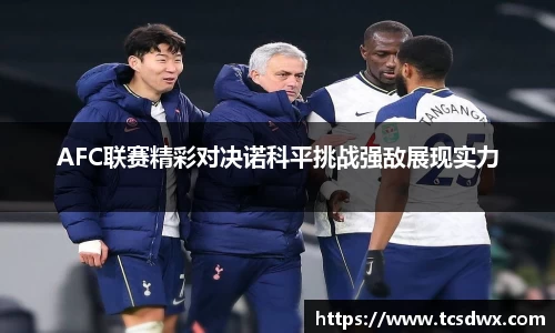 im电竞官网入口